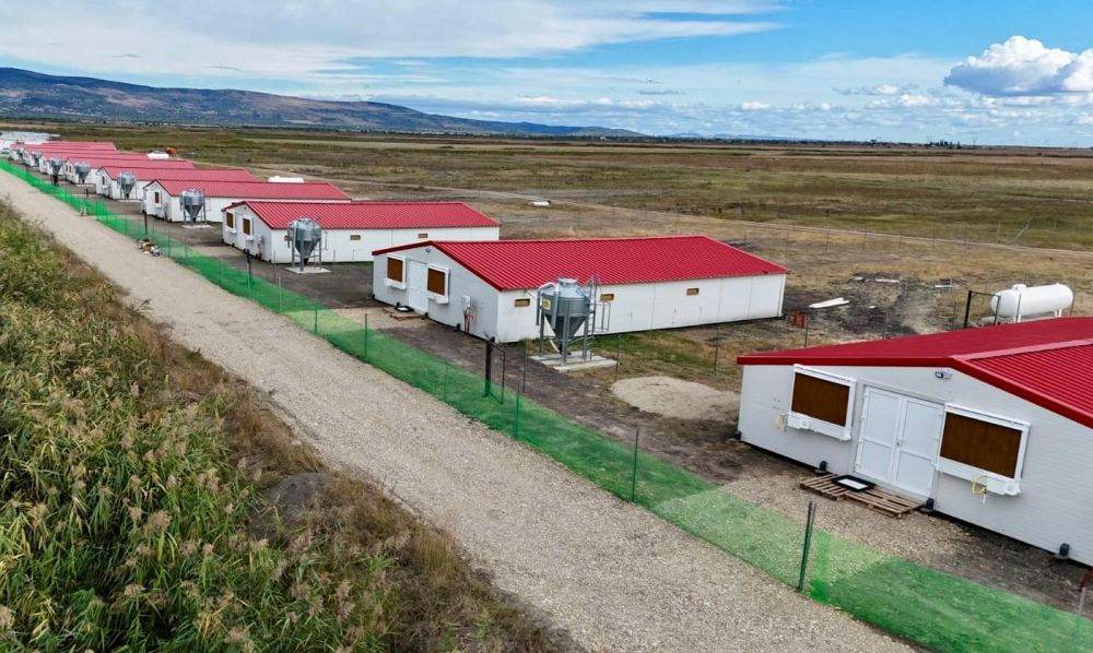 Carmistin The Food Company creşte producţia de alimente organice, prin deschiderea unei noi ferme de pui de carne BIO, la Săhăteni